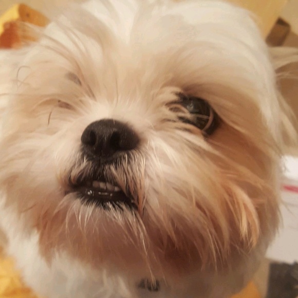 Meet your Posher, Erik - Picture 1 of 1